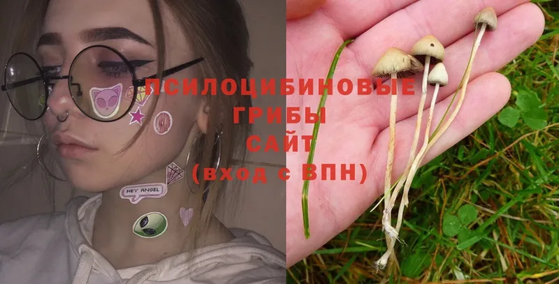 Галлюциногенные грибы Magic Shrooms Северодвинск